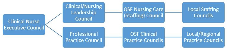 OSF护理治理框架